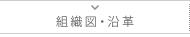 組織図・沿革